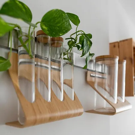 Διαμέρισμα Casablanca House *