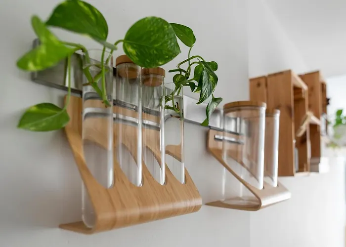 Daire Casablanca House *